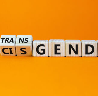Into It / Not Into It: Using ‘Cis’ as a Slur